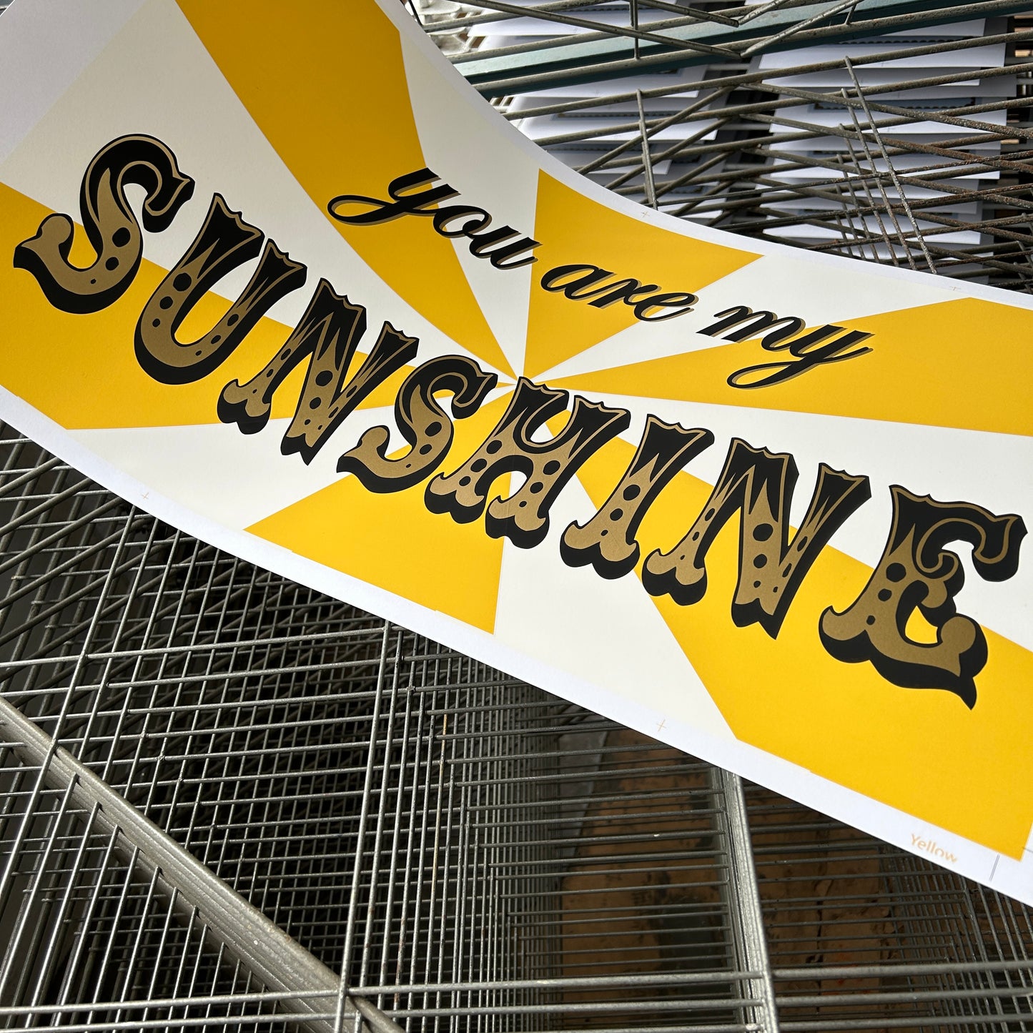 'you are my SUNSHINE' Screen Print Artwork